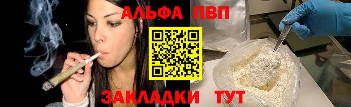 Alfa_PVP СК Грозный