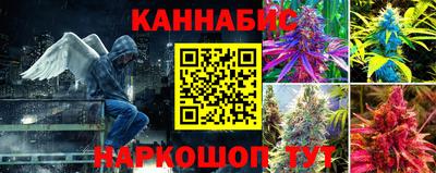 гашиш Гатчина