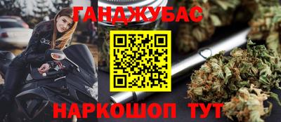 гашик Гай