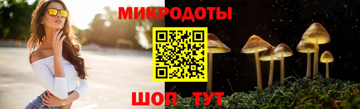 Грозный  Галлюциногенные грибы Psilocybine cubensis  Вход с VPN 